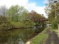 /album/my-local-birding-gallery/countryside-walk-near-my-home-jpg/